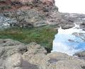 Cape Schanck Lighthouse image 2