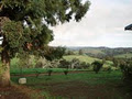 Carlaminda Wines image 1