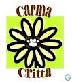 Carma Critta image 2