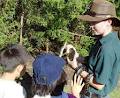 Caversham Wildlife Park logo