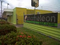 Chameleon Car Care logo