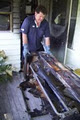 Chem-Dry Far North Coast image 1