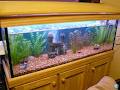 Clear Water Revivers image 1