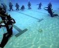 Coastal Water Dive image 1