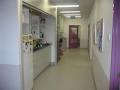 Coburg Veterinary Clinic image 6