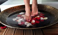 Cocoon Spa & Wellness logo