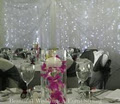 Coffs Harbour Event Decor logo