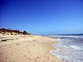 Cottesloe Beach image 6