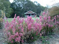 Crabbes Creek Cottages image 5