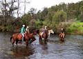 Cradle Country Adventures image 4