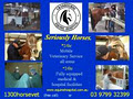 Cranbourne Equine Hospital image 2