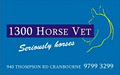 Cranbourne Equine Hospital logo