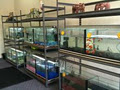 Crazy Aquariums image 1