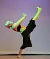 Dance Form Professional Studio logo