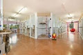 Danita's Pet Resort image 6