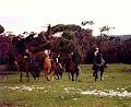 Darkes Forest Riding Ranch logo