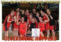Devonport Basketball Council logo