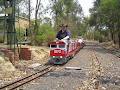 Diamond Valley Railway image 3