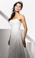 Dion for Brides logo