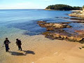 Dive Centre Manly image 3