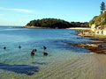 Dive Centre Manly image 1