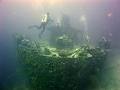 Diveline - Melbourne Diving School - Scuba Dive Store image 3