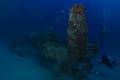 Diveline - Melbourne Diving School - Scuba Dive Store image 6