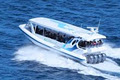 Dolphin Wild Cruises Jervis Bay image 2