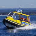 Dolphin Wild Cruises Jervis Bay image 3