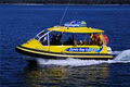 Dolphin Wild Cruises Jervis Bay image 5