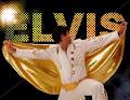 ELVIS IS IT/EIT Entertainment image 4