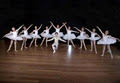 East Maitland Academy of Dance image 1