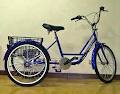 Edealsbargains Electric Bikes image 6