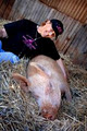 Edgar's Mission Farm Sanctuary image 2