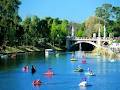 Elder Park Paddleboat Hire image 5