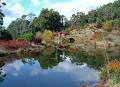 Emu Valley Rhododendron Garden image 2