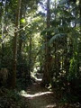 Eungella Mountain Edge Escape image 2