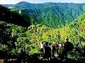 Eungella National Park image 2