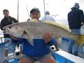 Evans Head Deep Sea Fishing Charters image 2