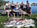 Evans Head Deep Sea Fishing Charters image 5