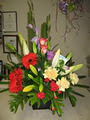 Evans Head Florist image 4