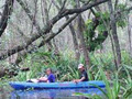 Evans River Cruises & Kayaks image 2