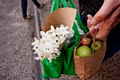 Eveleigh Market image 4