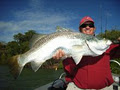 Fishing Cairns image 2