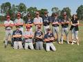 Fitzroy Baseball Club image 6