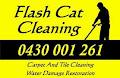 Flash Cat Cleaning image 6