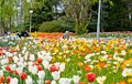 Floriade image 2