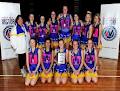 Frankston District Netball Association (F.D.N.A) image 2