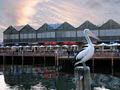 Fremantle Visitor Centre image 6