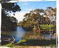 GOLDEN PLAINS SHIRE COUNCIL logo